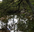 In Essentia Healing Hut of Kangaroo Valley - Hervey Bay Accommodation