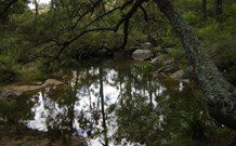 In Essentia Healing Hut Of Kangaroo Valley - Hervey Bay Accommodation 0