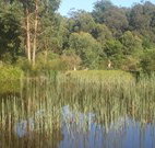 Fosterton Lodge Retreat - Hervey Bay Accommodation