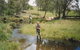 Milton Country Retreat - thumb 1