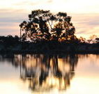 Myuna Bay Sport and Recreation Centre - Hervey Bay Accommodation