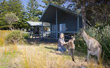 Norman Lindsay Cottage - Hervey Bay Accommodation 9