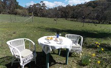 Pinegrove Cottage - Hervey Bay Accommodation 5