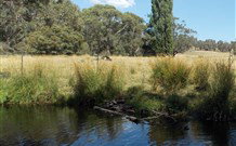 Pinegrove Cottage - Hervey Bay Accommodation 3