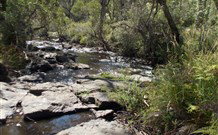 Pinegrove Cottage - Hervey Bay Accommodation 4
