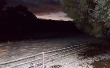 Pinegrove Cottage - Hervey Bay Accommodation 7