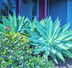 Retreat Homestead - Hervey Bay Accommodation