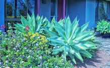Retreat Homestead - Hervey Bay Accommodation 0