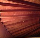 Sea Cottage - Tourism Hervey Bay