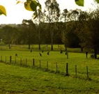 Stone Cottage Mittagong - Hervey Bay Accommodation