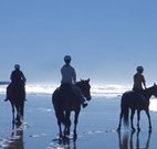 The Hayloft - Hervey Bay Accommodation