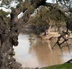 Valley View Cottage Hunter Valley - Hervey Bay Accommodation