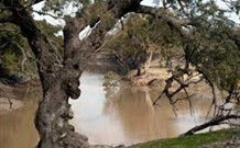 Valley View Cottage Hunter Valley - Hervey Bay Accommodation 0