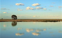 Valley View Cottage Hunter Valley - Hervey Bay Accommodation 4