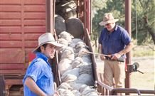 Valley View Cottage Hunter Valley - Hervey Bay Accommodation 7