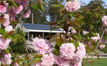 Warilla Bowls And Recreation Club - Holiday Cabins - Hervey Bay Accommodation 2