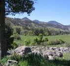 Woolshed Hill Estate - Hervey Bay Accommodation
