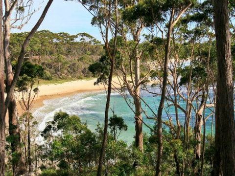 Allawah Cabins - Hervey Bay Accommodation 1