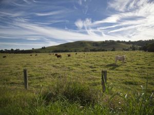 Goolmangar NSW Hervey Bay Accommodation