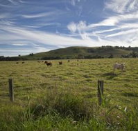 Annas Retreat - Hervey Bay Accommodation