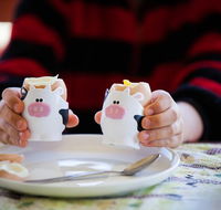 Cosy Cow Farmstay Bed and Breakfast - Tourism Hervey Bay