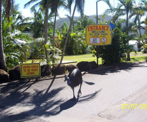 Flying Fish Point Tourist Park - Tourism Hervey Bay 9