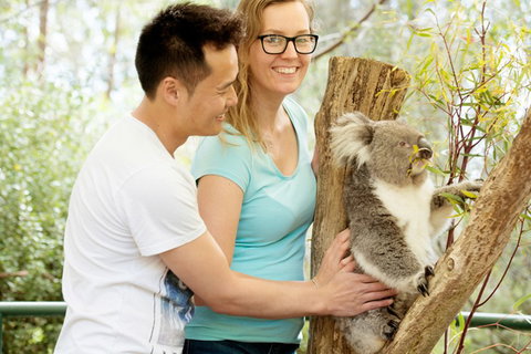 Mt Lofty YHA - Hervey Bay Accommodation 6