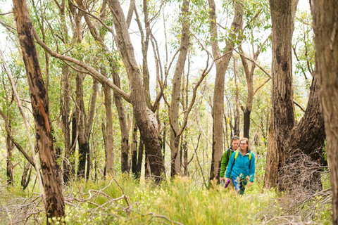 Mt Lofty YHA - Hervey Bay Accommodation 8