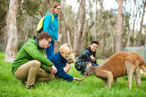 Mt Lofty YHA - Hervey Bay Accommodation 7