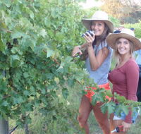 McLaren Vale Backpackers - Hervey Bay Accommodation
