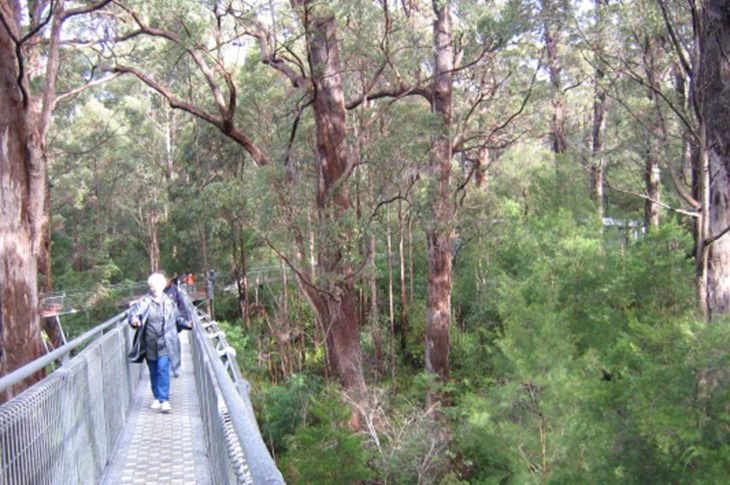 Hervey Bay Accommodation