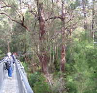 Walpole YHA - Hervey Bay Accommodation