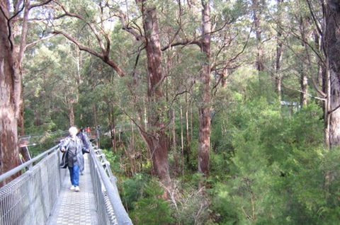Walpole YHA - Hervey Bay Accommodation 0