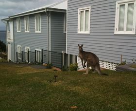 Hyams Beach Bed And Breakfast - Hervey Bay Accommodation 6