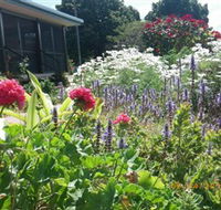 Eastwood Farm - Hervey Bay Accommodation