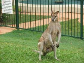 Villa Marine Holiday Apartments - Hervey Bay Accommodation 1