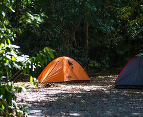 Jungle Lodge - Hervey Bay Accommodation 1