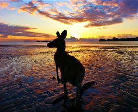  Hervey Bay Accommodation