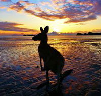 Cape Hillsborough Nature Tourist Park - Hervey Bay Accommodation