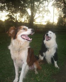 Brockhurst Farm Accommodation / Wedding Venue - Hervey Bay Accommodation 1