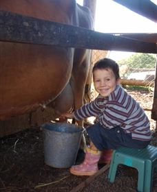 Brockhurst Farm Accommodation / Wedding Venue - Hervey Bay Accommodation 2
