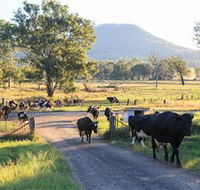 Tommerups Dairy Farmstay - Hervey Bay Accommodation