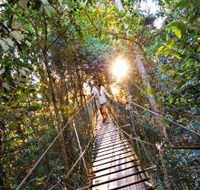 O'Reilly's Rainforest Retreat - Hervey Bay Accommodation
