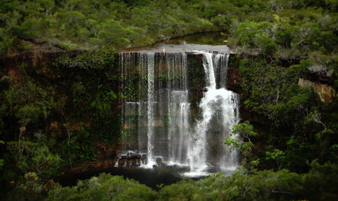 Haggerstone Island Resort - Hervey Bay Accommodation 6