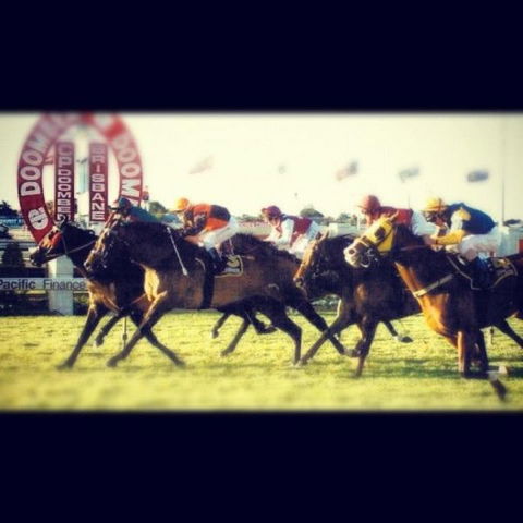 AAA The View - Tourism Hervey Bay 3