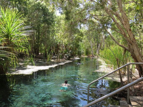 Bitter Springs Cabins And Camping - Hervey Bay Accommodation 6