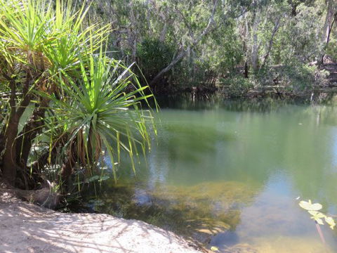 Bitter Springs Cabins And Camping - Hervey Bay Accommodation 7