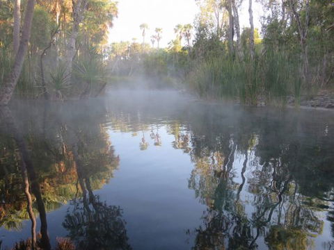 Bitter Springs Cabins And Camping - Hervey Bay Accommodation 8