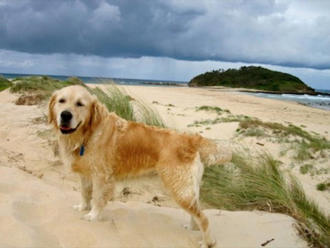 Castaway Holiday Units - Hervey Bay Accommodation 1
