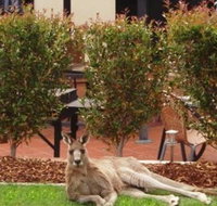 Alpha Canberra Hotel and Apartments - Hervey Bay Accommodation